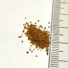 3號 (2) 【阿凱水族】日清3號香魚飼料 50克罐裝 日清3號 孔雀魚、燈科、斑馬、蓋斑鬥魚 亞成魚 飼料 適用 適口性好