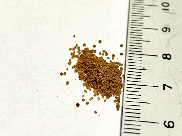 3號 (2) 【阿凱水族】日清3號香魚飼料 50克罐裝 日清3號 孔雀魚、燈科、斑馬、蓋斑鬥魚 亞成魚 飼料 適用 適口性好
