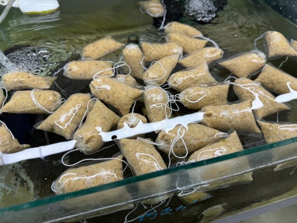 S__104620115 【阿凱水族】雪花滷包 水晶蝦.米蝦 開缸.翻缸必備 觀賞蝦最愛