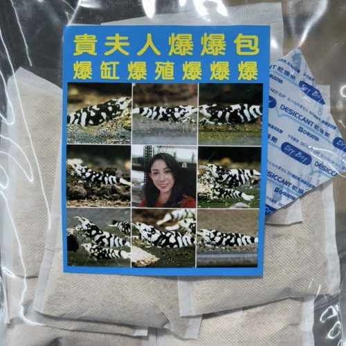 S__6848514_0 【阿凱水族】水晶蝦.米蝦 爆殖首選, 貴夫人爆爆包 熱銷世界各地 微生物滷包
