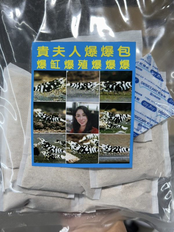【阿凱水族】水晶蝦.米蝦 爆殖首選, 貴夫人爆爆包 熱銷世界各地 微生物滷包