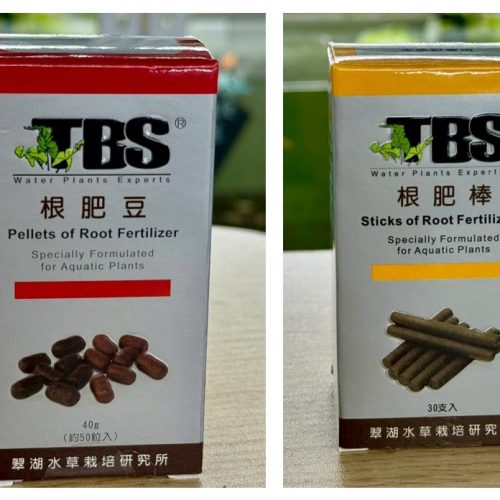 【阿凱水族】TBS翠湖 根肥棒(30入) 根肥豆(40g) 水族 草缸 陰性 陽性水草 培育皆可使用