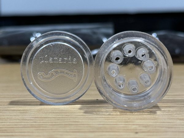 渦蟲水蛭誘捕器-1 【阿凱水族】壓克力渦蟲誘捕器 除渦蟲、水蛭、貝蚤 耐用 好清理