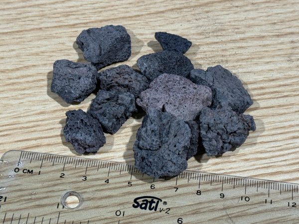 【阿凱水族】SL淞亮 蘇拉威西石 蘇石 火山岩 蘇蝦 橙兔螺 玩家首選 多種尺寸任君挑選
