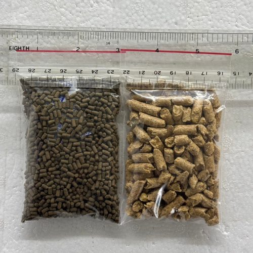 【阿凱水族】水晶蝦、米蝦、螯蝦飼料 新手試吃包