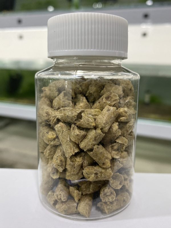 【阿凱水族】雪花飼料 水晶蝦 米蝦 觀賞蝦 螯蝦 蘇蝦 橙兔螺愛吃(50克罐裝)