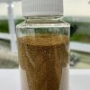3號 (1) 【阿凱水族】日清3號香魚飼料 50克罐裝 日清3號 孔雀魚、燈科、斑馬、蓋斑鬥魚 亞成魚 飼料 適用 適口性好