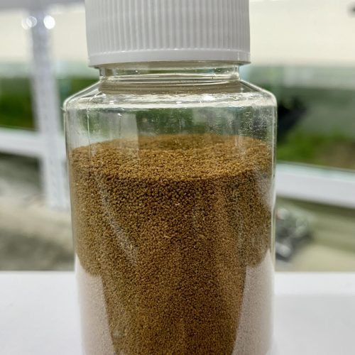【阿凱水族】日清3號香魚飼料 50克罐裝 日清3號 孔雀魚、燈科、斑馬、蓋斑鬥魚 亞成魚 飼料 適用 適口性好