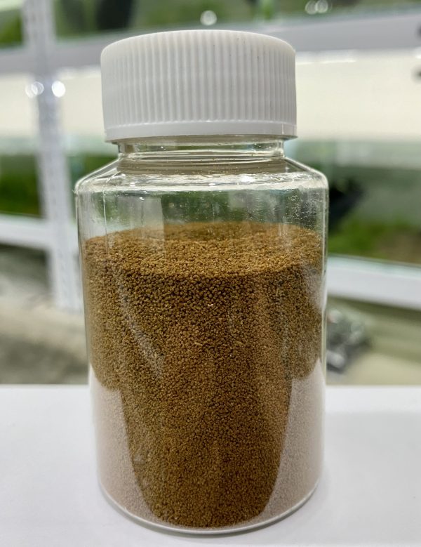 3號 (1) 【阿凱水族】日清3號香魚飼料 50克罐裝 日清3號 孔雀魚、燈科、斑馬、蓋斑鬥魚 亞成魚 飼料 適用 適口性好