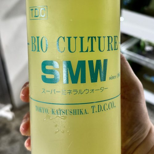 【阿凱水族】日本進口 BIO SMW 礦物質補充液 1L 瓶裝 微量元素 水晶蝦 蘇蝦 螯蝦 龍蝦 觀賞蝦玩家首選
