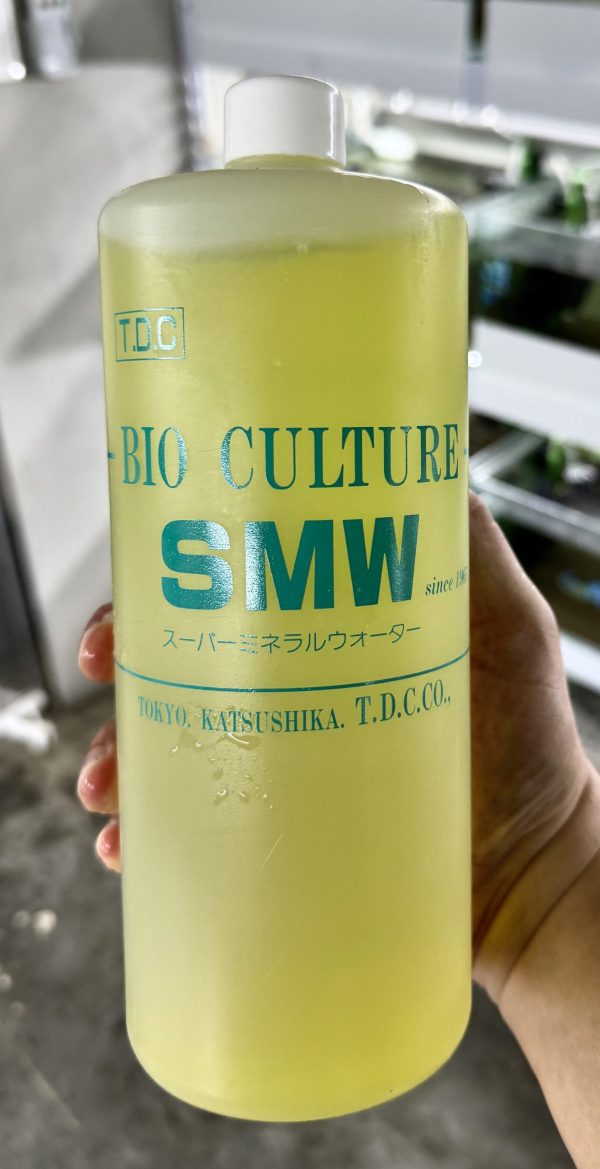49075C4A-CF40-4996-95B5-75867AB6458D 【阿凱水族】日本進口 BIO SMW 礦物質補充液 1L 瓶裝 微量元素 水晶蝦 蘇蝦 螯蝦 龍蝦 觀賞蝦玩家首選