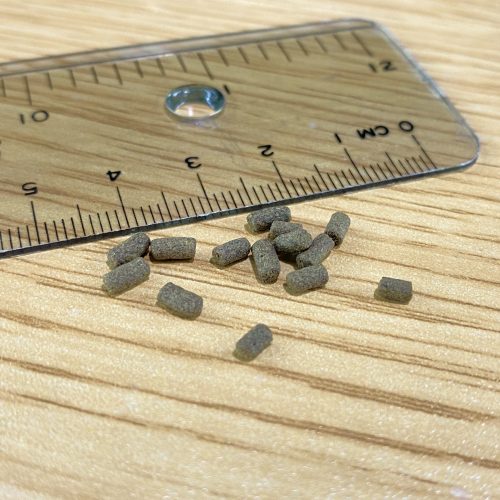 【阿凱水族】水晶蝦 米蝦 螯蝦 觀賞蝦飼料50克裝 蝦蝦愛吃  不用擔心用不完