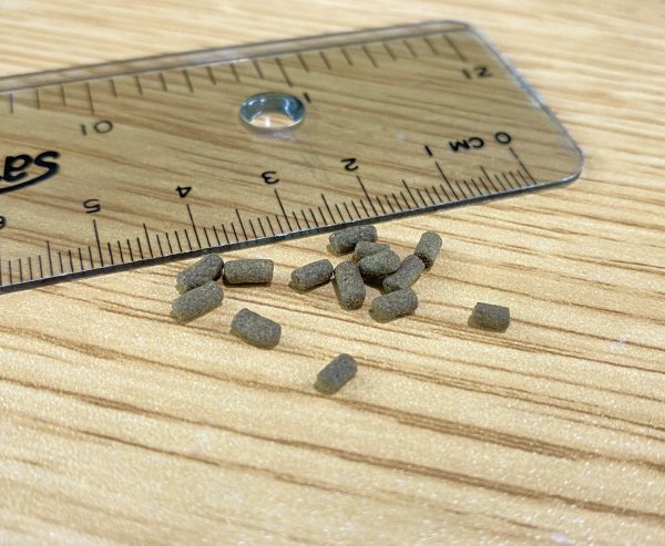 蝦母催熟飼料 【阿凱水族】水晶蝦 米蝦 螯蝦 觀賞蝦飼料50克裝 蝦蝦愛吃 不用擔心用不完