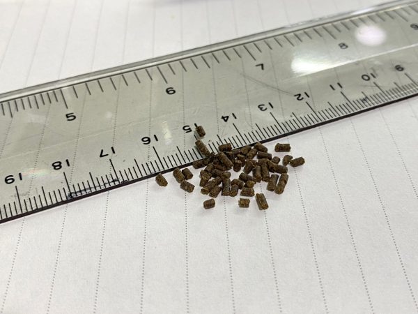 【阿凱水族】蝦飼料65克罐裝 水晶蝦 米蝦 螯蝦 皆可以餵食 沉底飼料