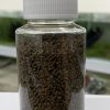 【阿凱水族】蝦飼料65克罐裝 水晶蝦 米蝦 螯蝦 皆可以餵食 沉底飼料
