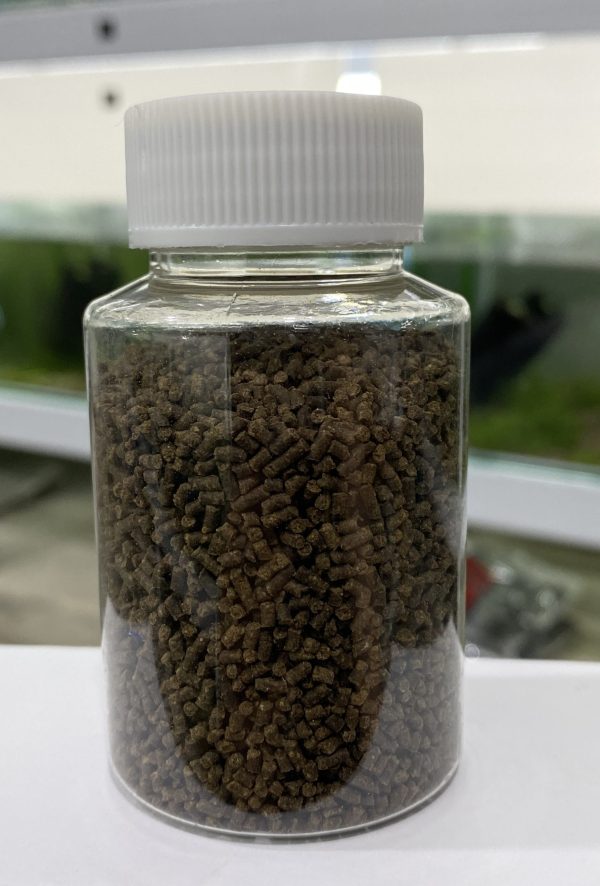 【阿凱水族】蝦飼料65克罐裝 水晶蝦 米蝦 螯蝦 皆可以餵食 沉底飼料